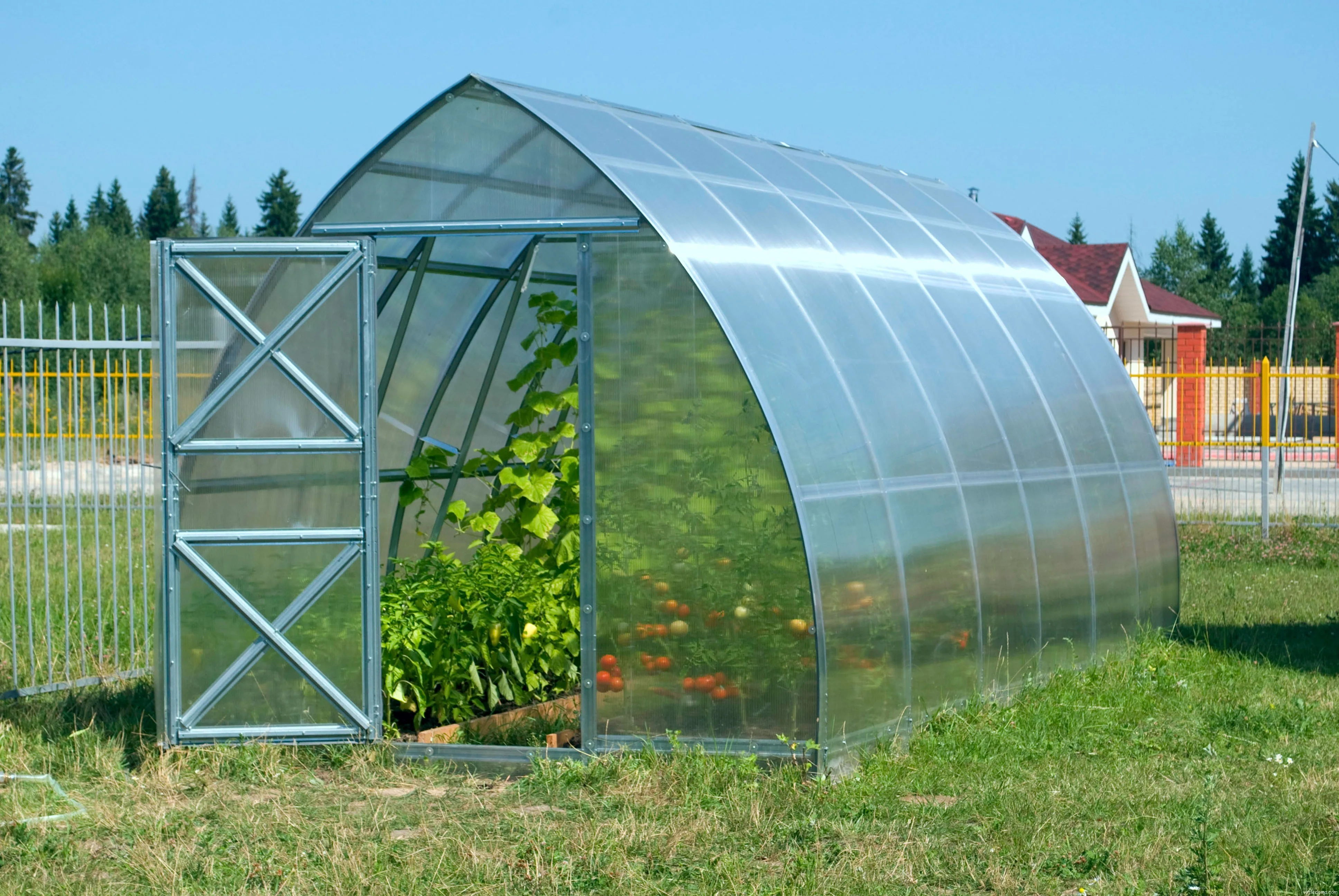Classic Arch Greenhouse - Image 10