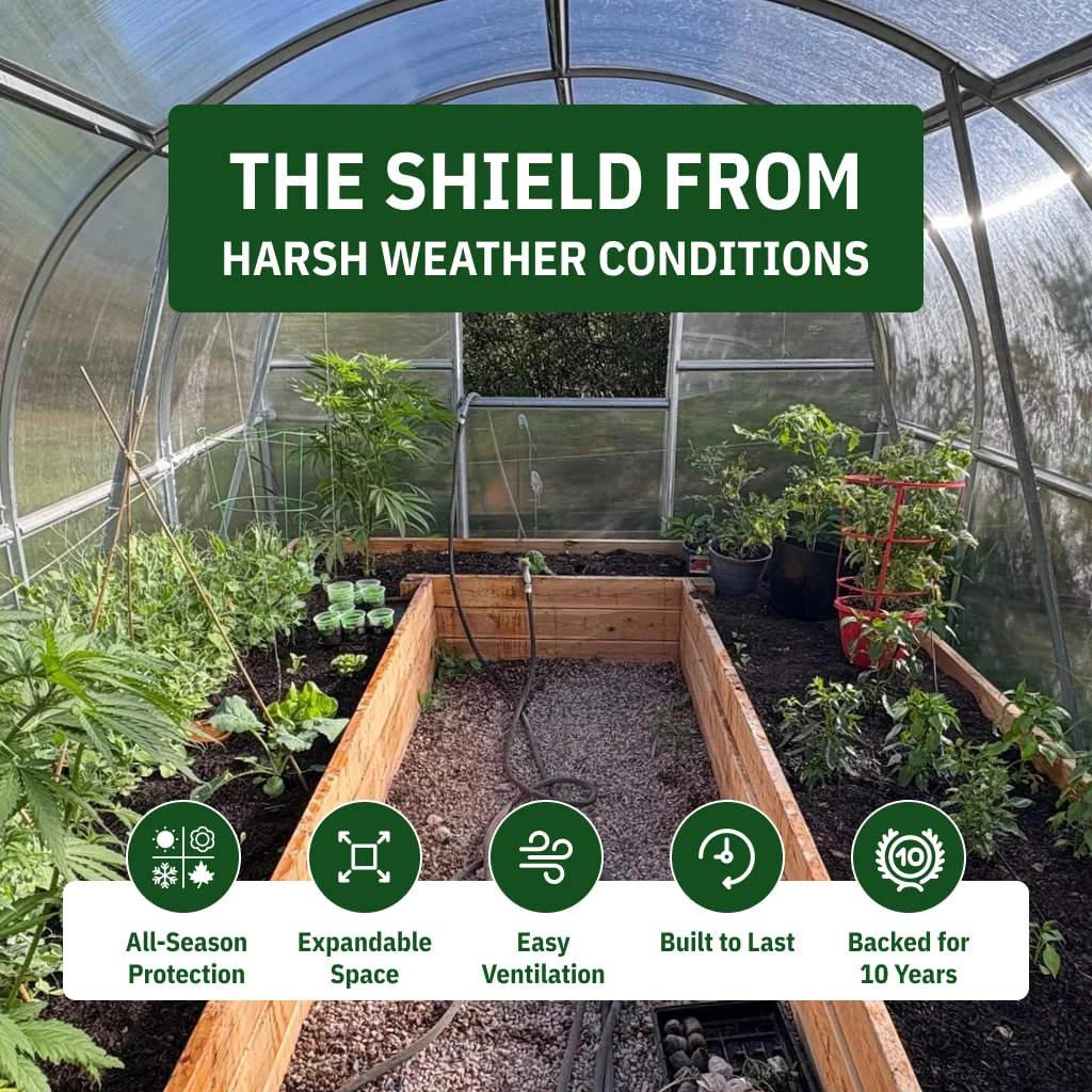 World's Most Popular Polycarbonate Greenhouse - Image 7
