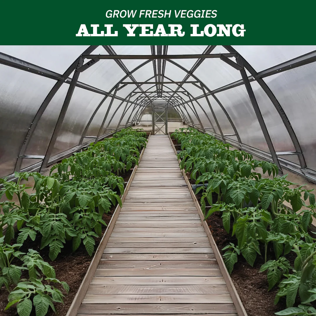 Classic Arch Greenhouse - Image 3