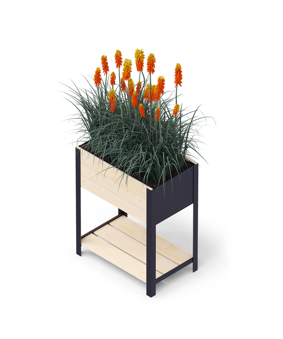 Raised Bed - Image 5