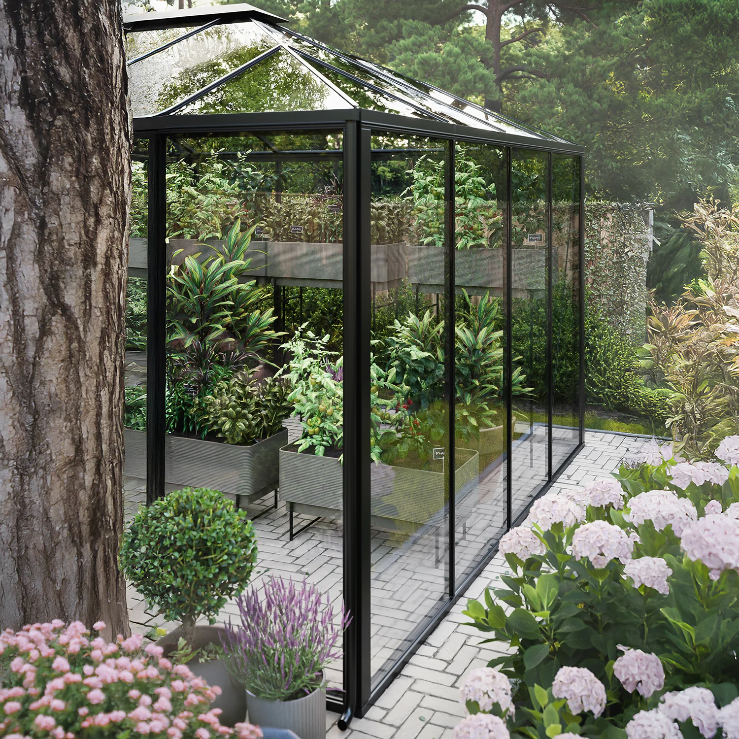 Scandiglas Pyramid Greenhouse - Image 3