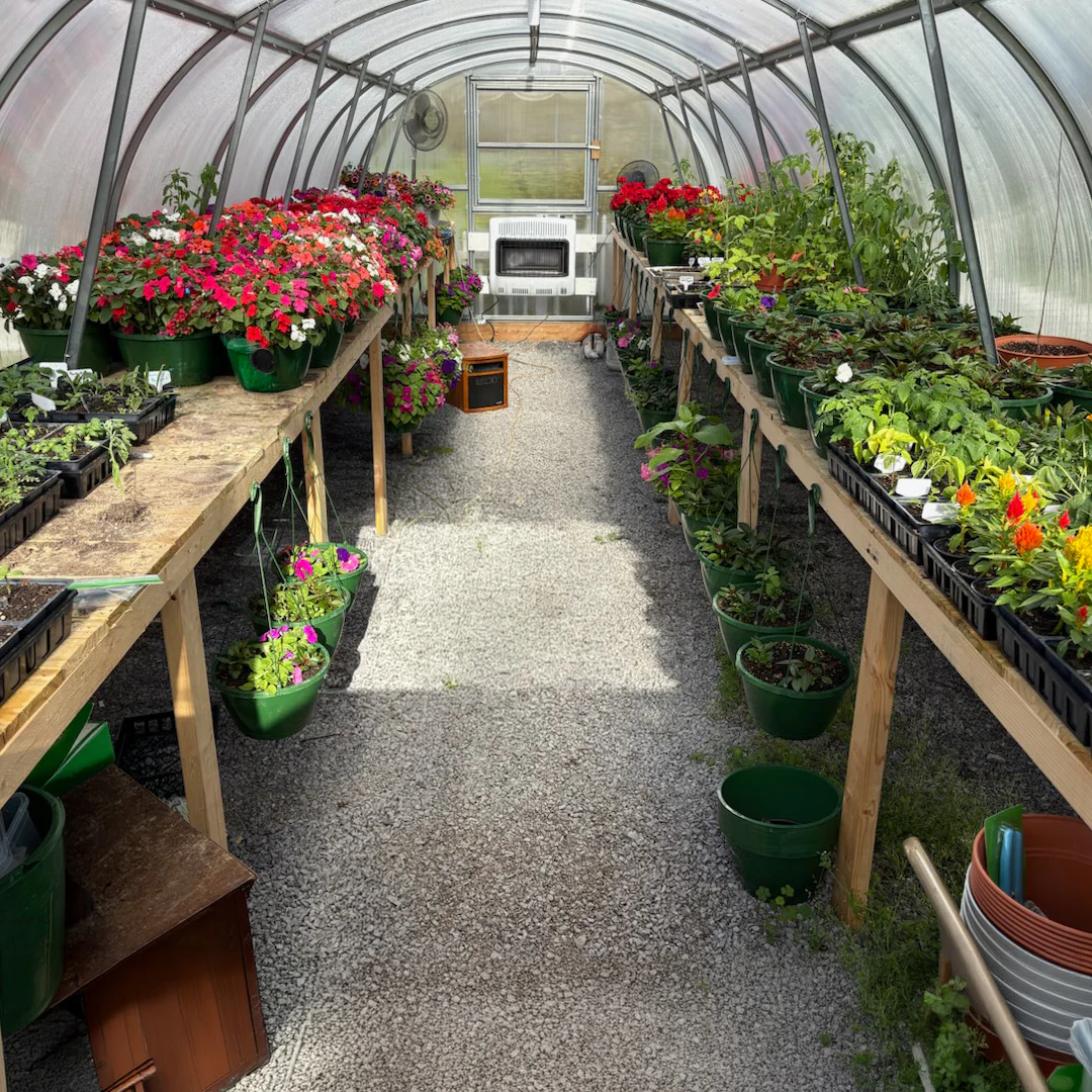 World's Most Popular Polycarbonate Greenhouse - Image 12