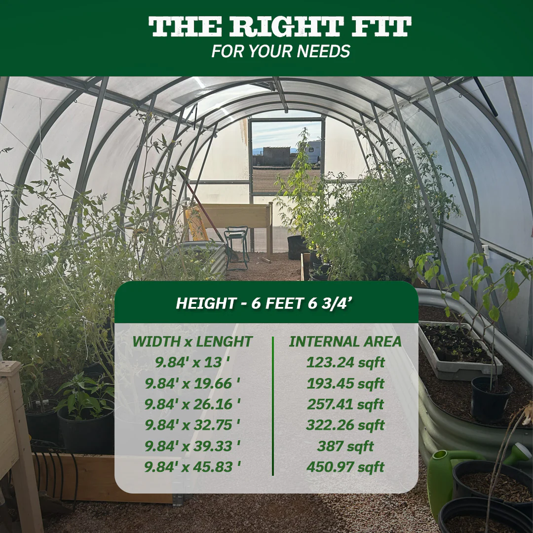 World's Most Popular Polycarbonate Greenhouse - Image 7
